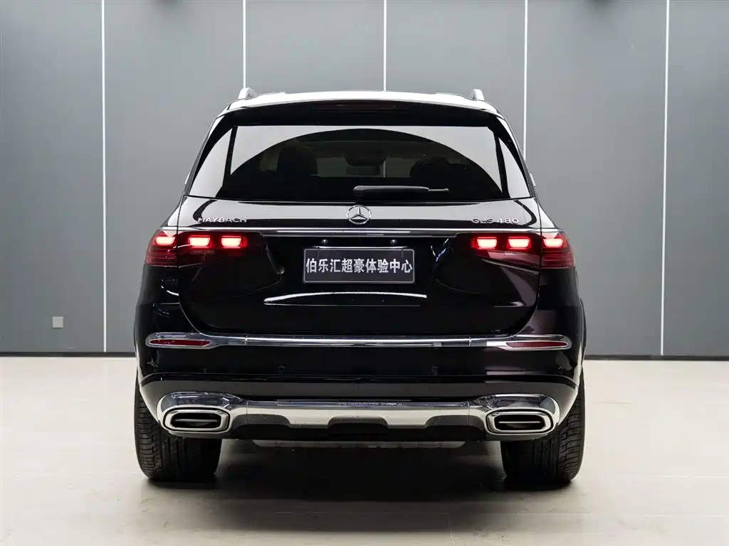 Mercedes-Benz Maybach GLS 2024 GLS 480 4MATIC фото 5