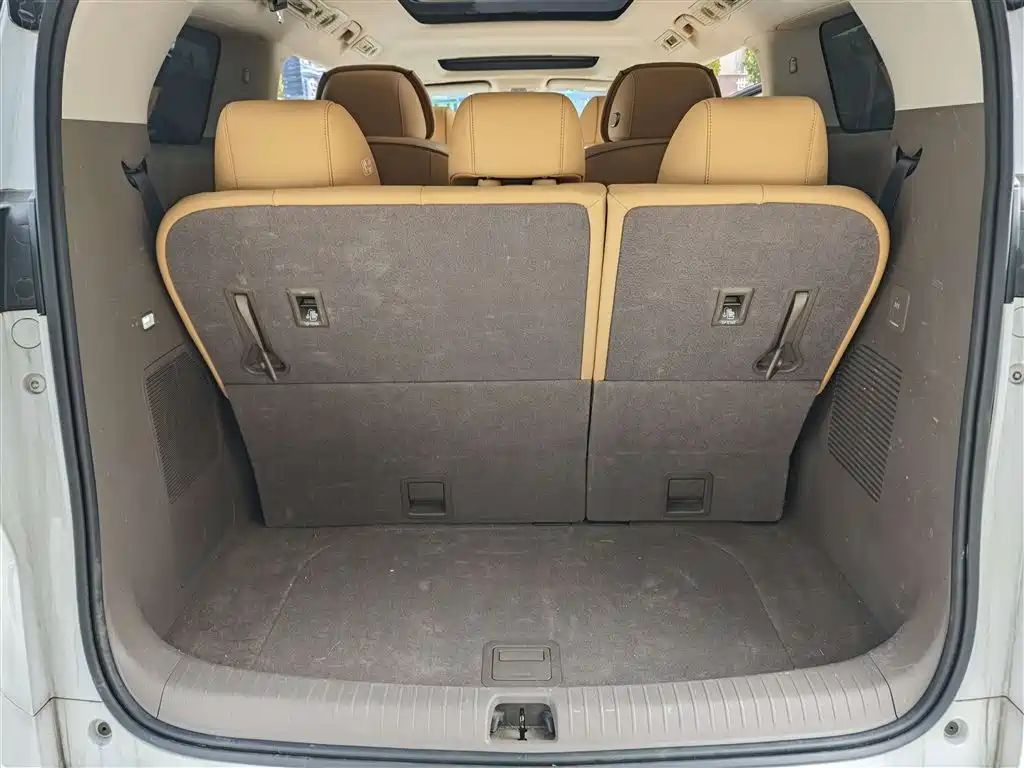 Denza D9 2022 DM-i 1040 Premium фото 9
