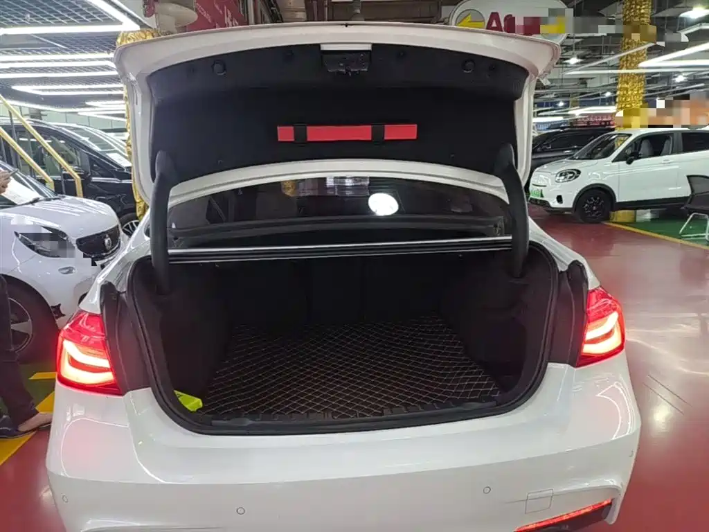 BMW 3 Series 2019 320Li M Sport Package фото 19