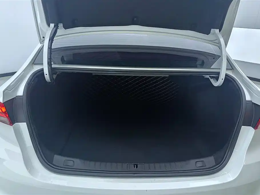 BUICK WEILANG