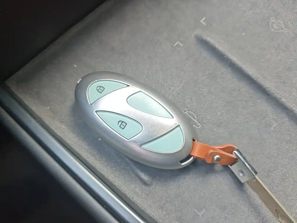Hyundai ELEXIO 2025 2025 Standard Range RWD
