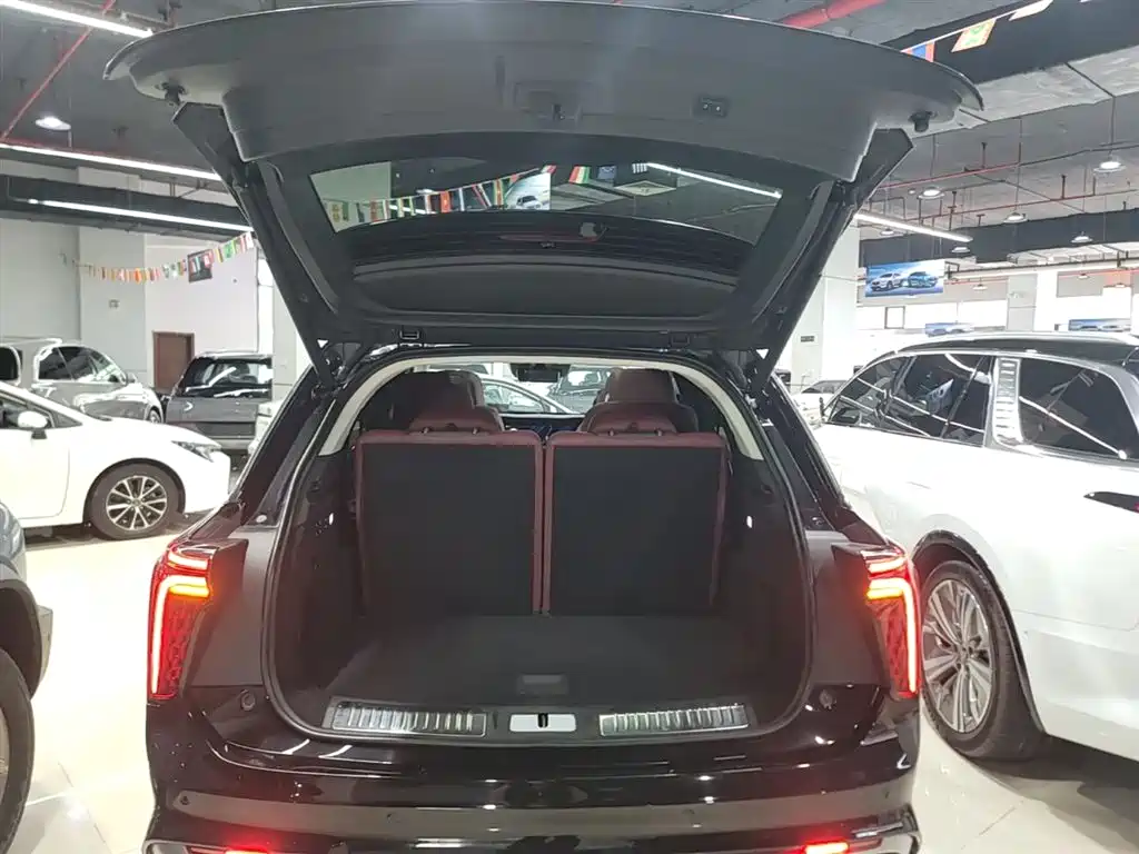 Hongqi E-HS9 2022 660km Qi Chang Edition (6-seater) фото 19