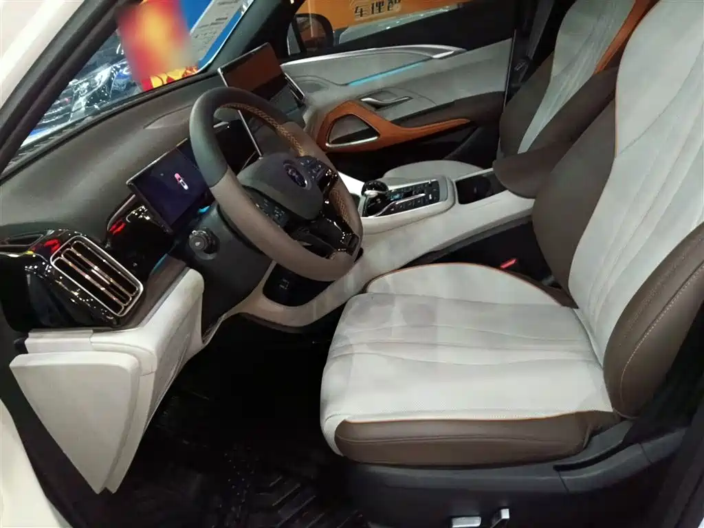 BYD Song Pro New Energy 2023 Champion Edition DM-i 110KM Excellence фото 15