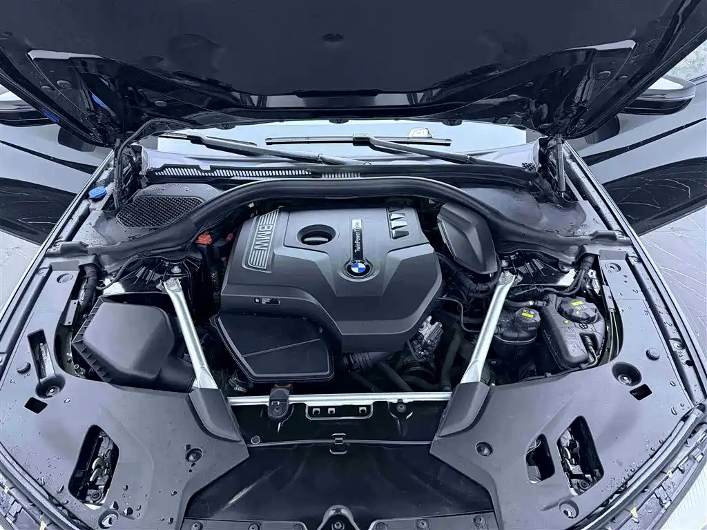 BMW 5 Series 2018 Facelift 530Li xDrive M Sport Package фото 18