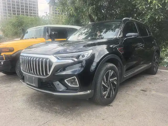 Hongqi HS5 2.0T, Smart Connect Flagship