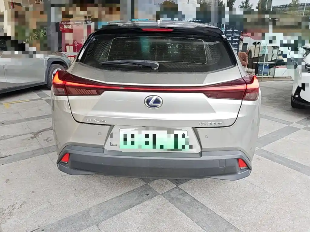 Lexus UX Electric 2021 2020 300e Pure Yue Edition