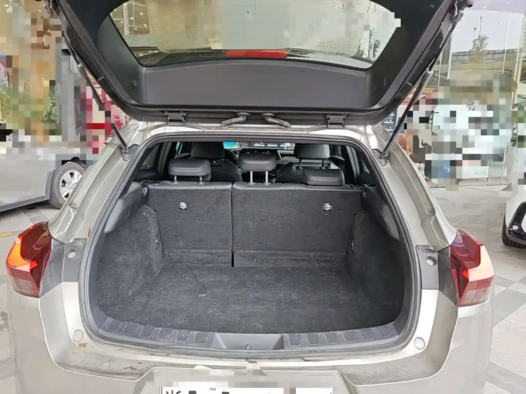 Lexus UX Electric 2021 2020 300e Pure Yue Edition