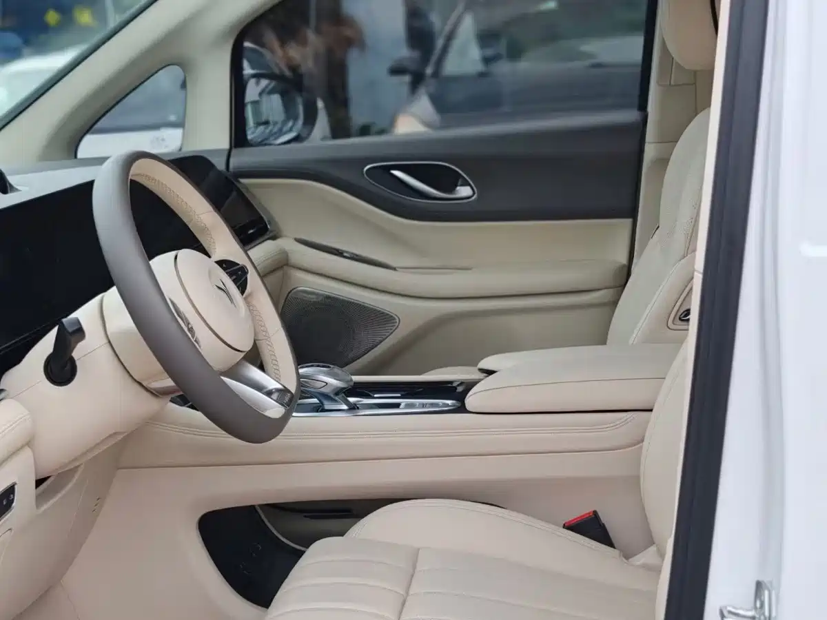 Voyah Auto Voyah Dreamer 2024 PHEV Extended Range Premium Edition фото 5