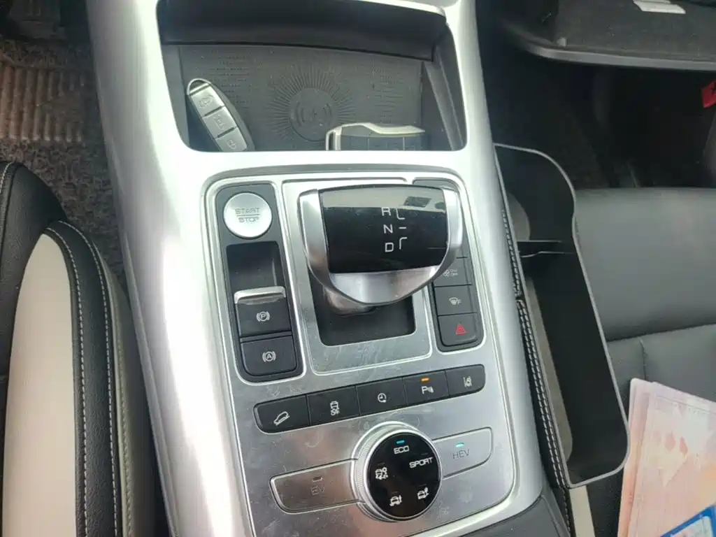 Denza X 2020 2020 PHEV Sport Edition