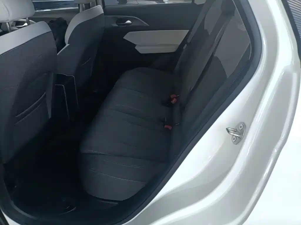Geely Geometry E Firefly 2024 2024 Model 301km Light Flow