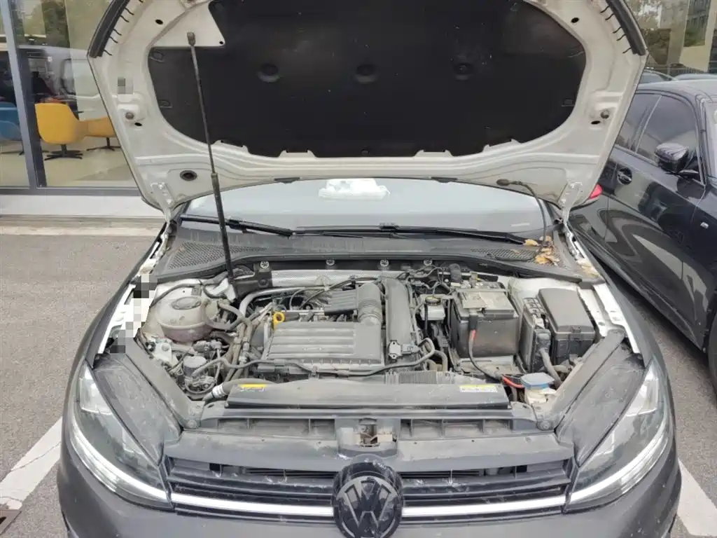 Volkswagen Golf 2020 Beloved Edition 280TSI DSG Luxury фото 11