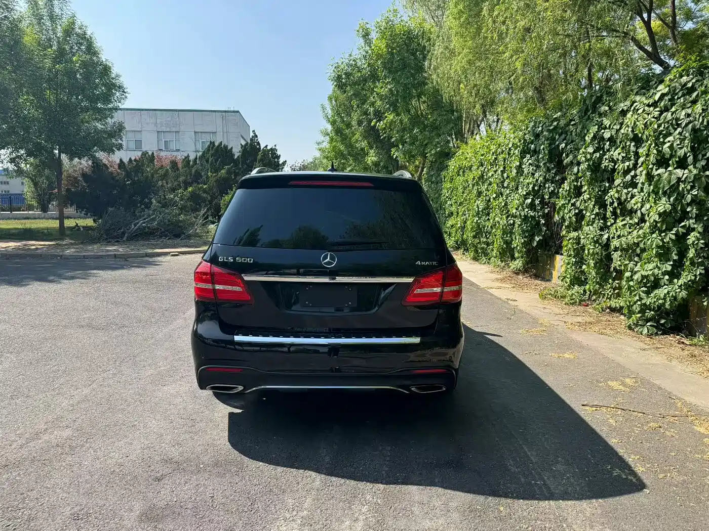 Mercedes-Benz GLS 2016 GLS 500 4MATIC фото 4