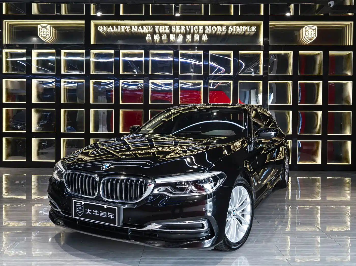 BMW 5 Series New Energy 2020 530Le Luxury Package