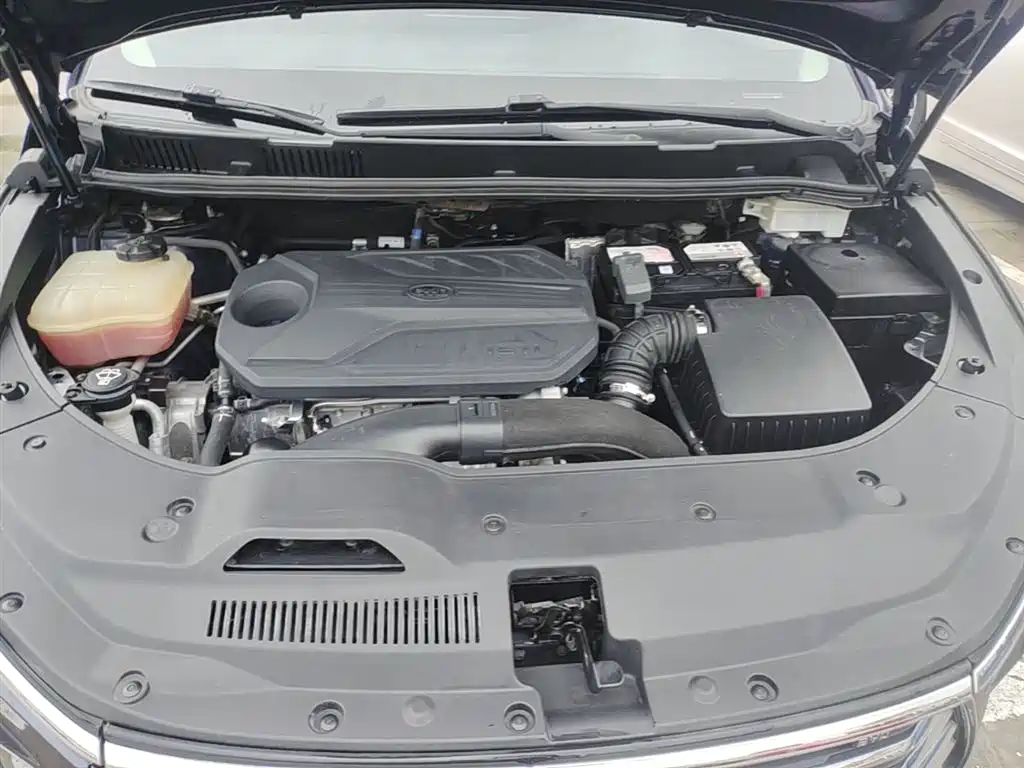 BYD Song MAX 2019 1.5T Auto Smart Connected Sunroof 7-seater China VI фото 20