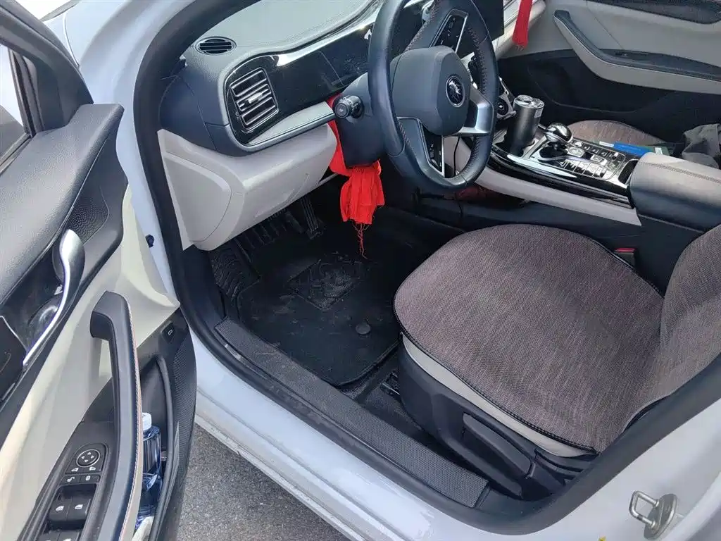 BYD Qin PLUS 2021 DM-i 55KM Premium фото 13