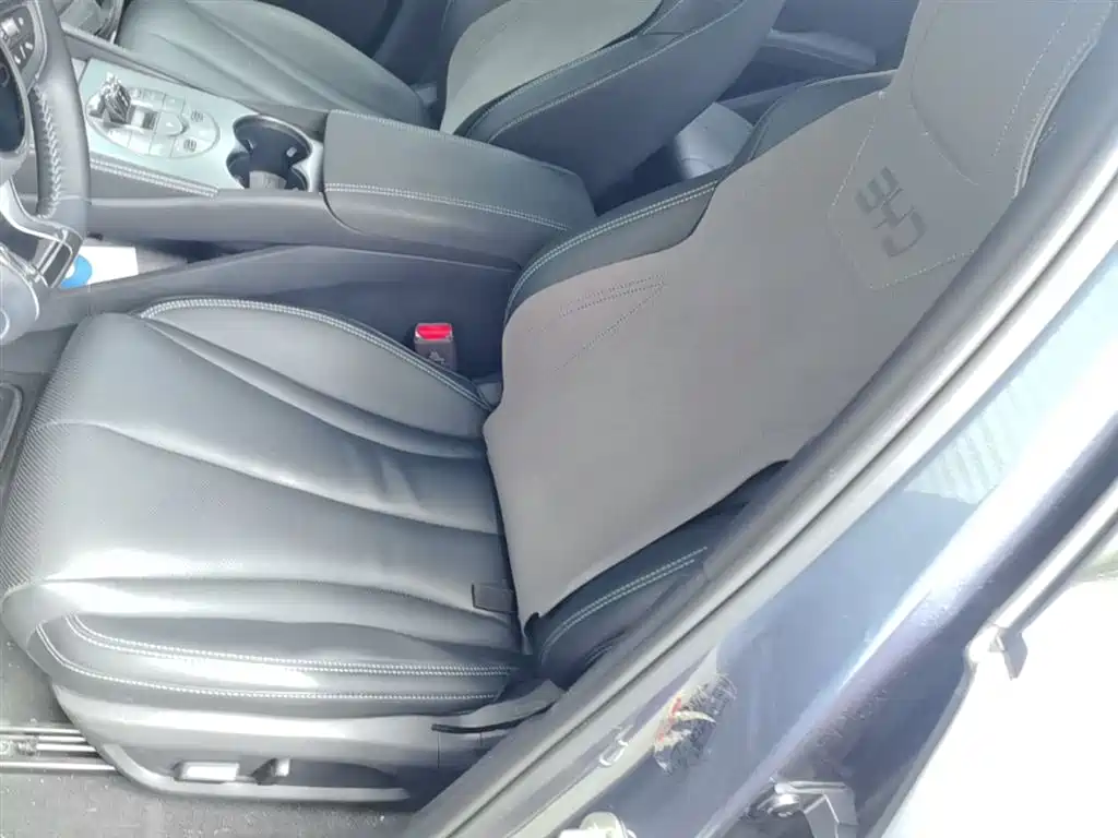 BYD Seal 06 New Energy 2024 DM-i 80KM Prestige фото 7