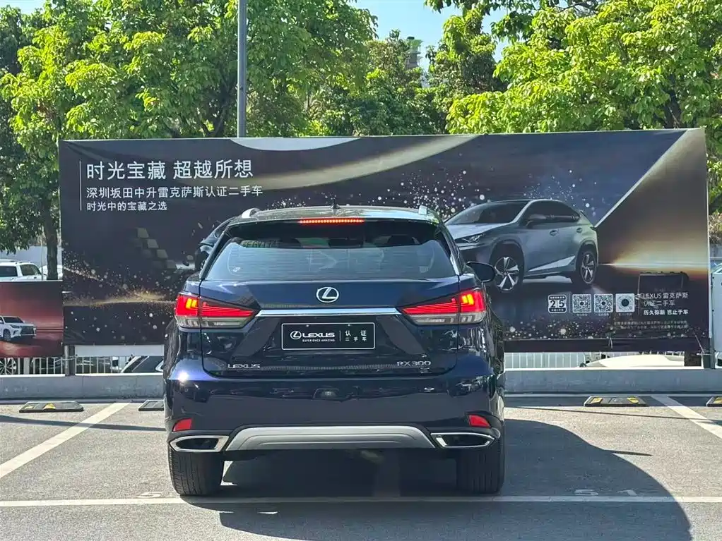 Lexus RX 2020 300 2WD Elite Edition China V фото 14