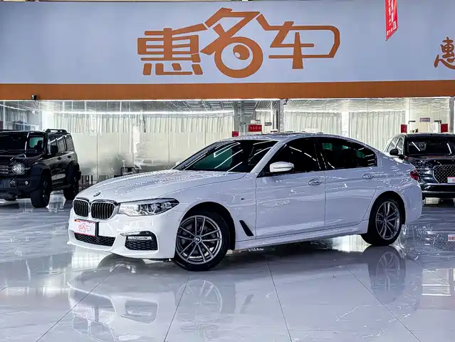 BMW 5 SERIES