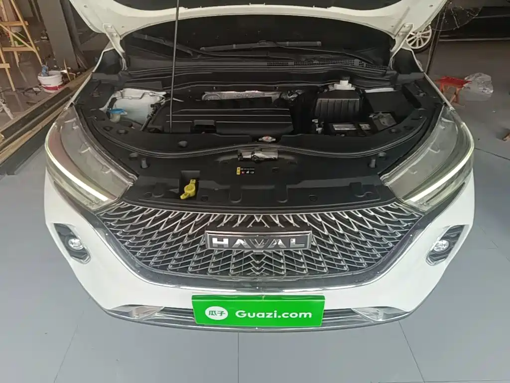 Haval M6 2024 2023 PLUS 1.5T DCT Luxury Smart Connect