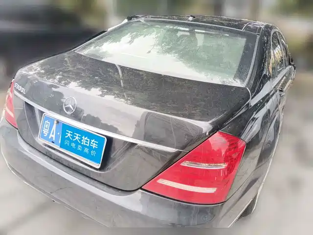 Mercedes-Benz S-Class 2010 S 300 L Business — фото 2