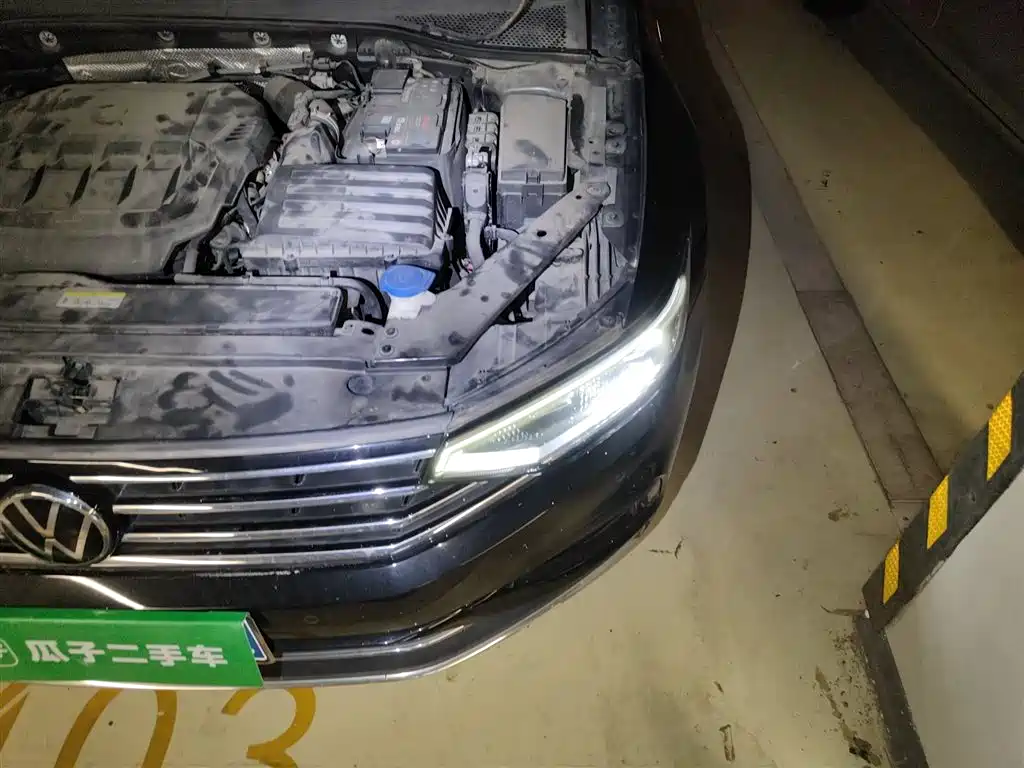 Volkswagen Magotan 2020 330TSI DSG Luxury фото 22
