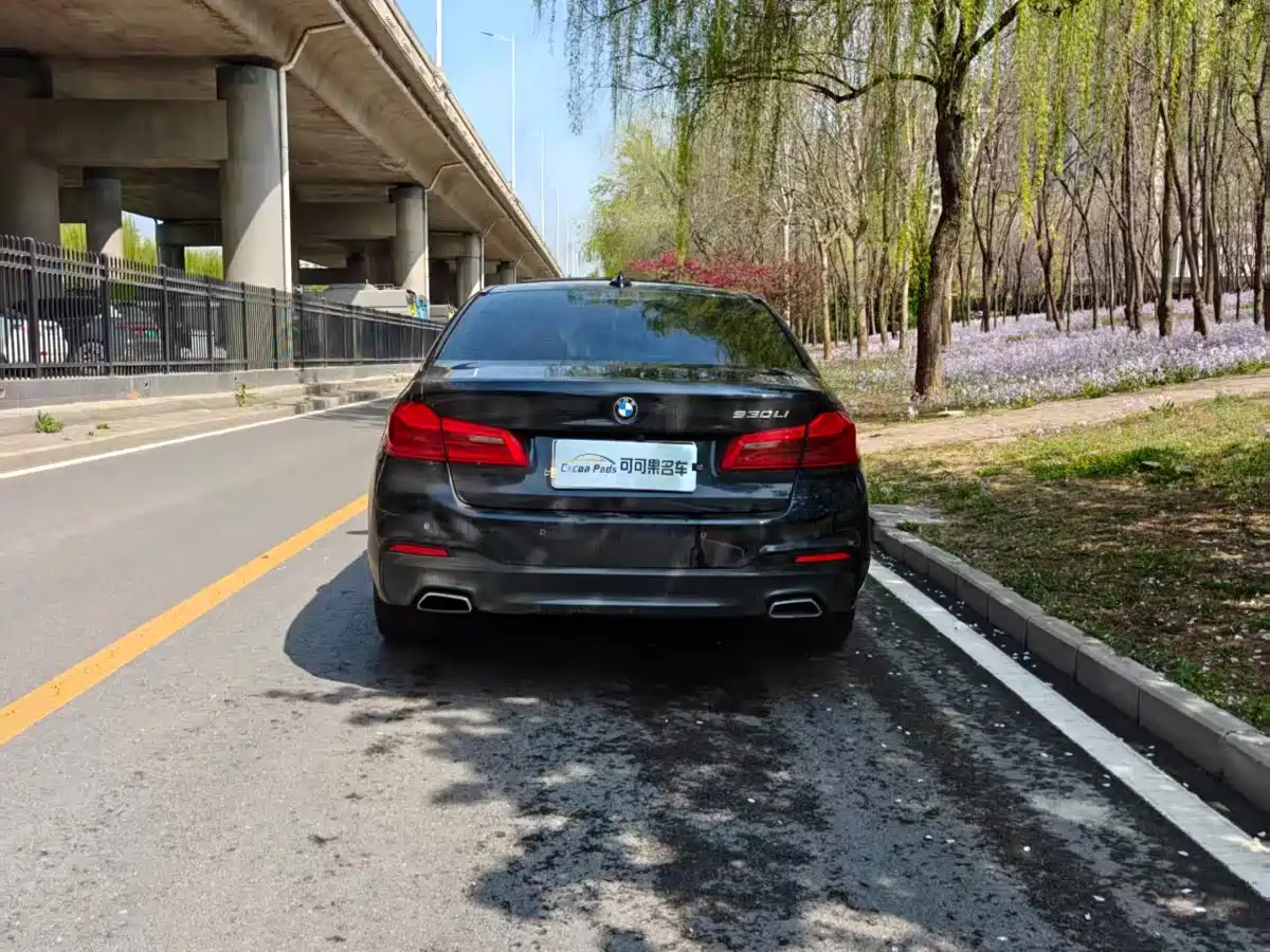 BMW 5 Series 2020 530Li Leading M Sport Package фото 8