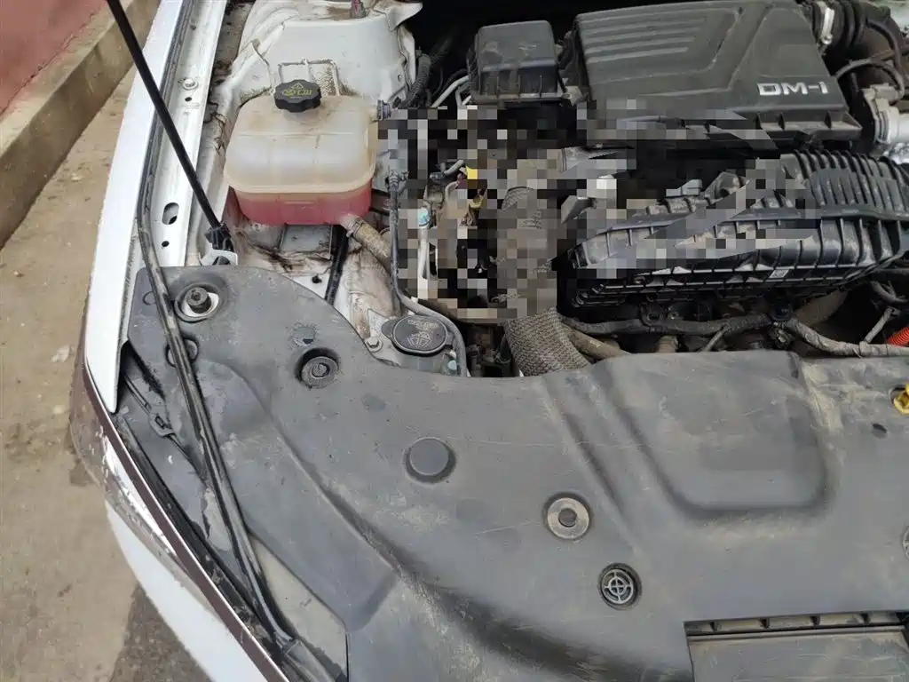 BYD Qin PLUS 2023 Champion Edition DM-i 55KM Leading фото 21
