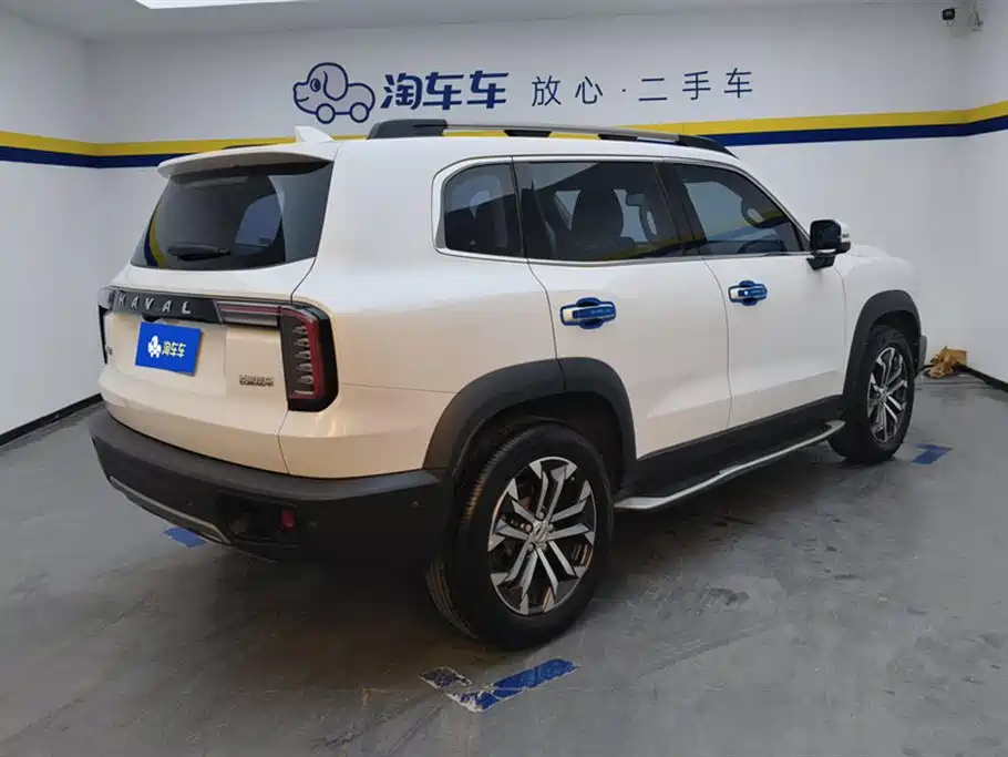 HAVAL BIG DOG