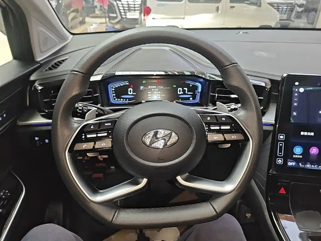 Photo 11 - Hyundai Custo
