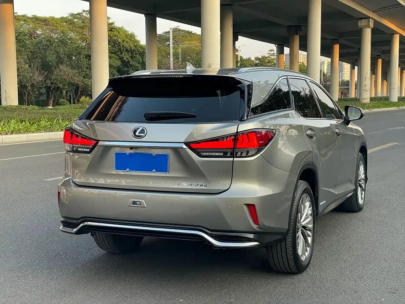 LEXUS RX