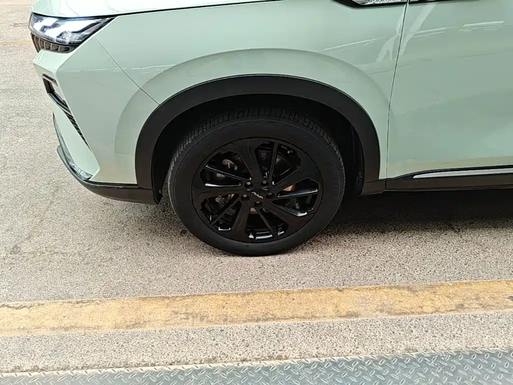 Фото 23 - Dongfeng Aeolus Haoji