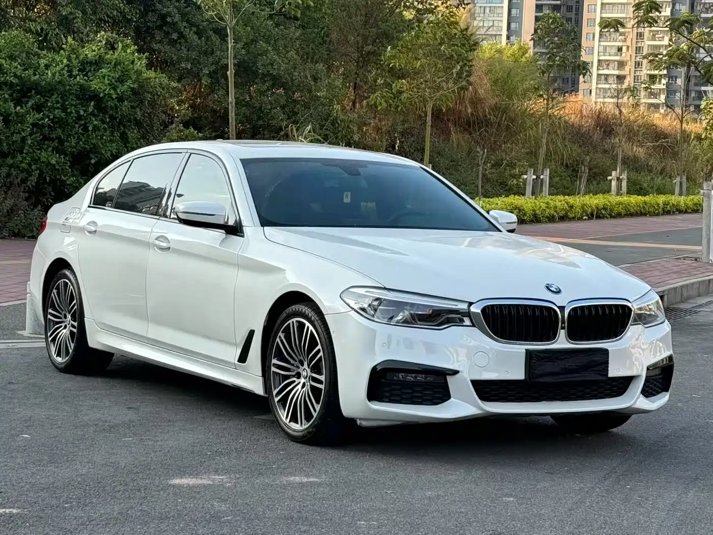 BMW 5 Series 2019 530Li Premium M Sport Package фото 3