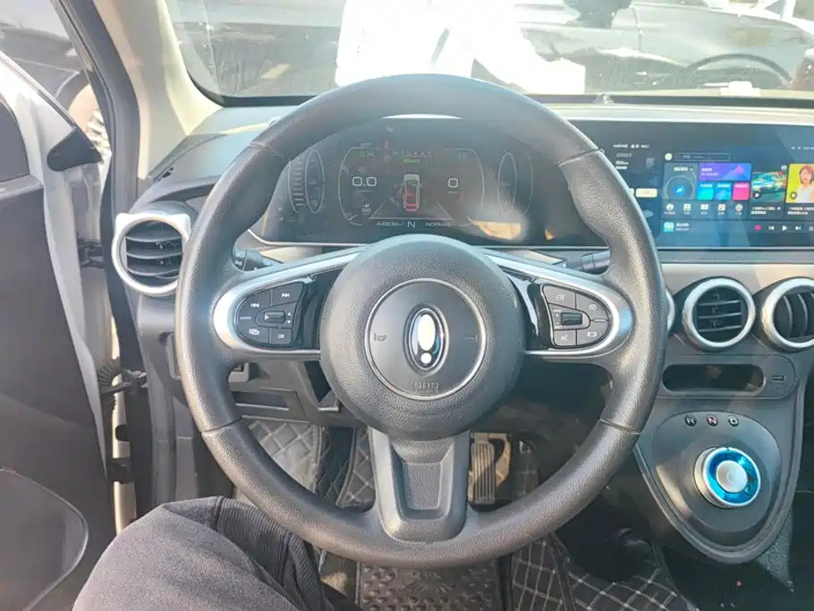 Ora Black Cat 2022 2022 351km Comfort (NMC)