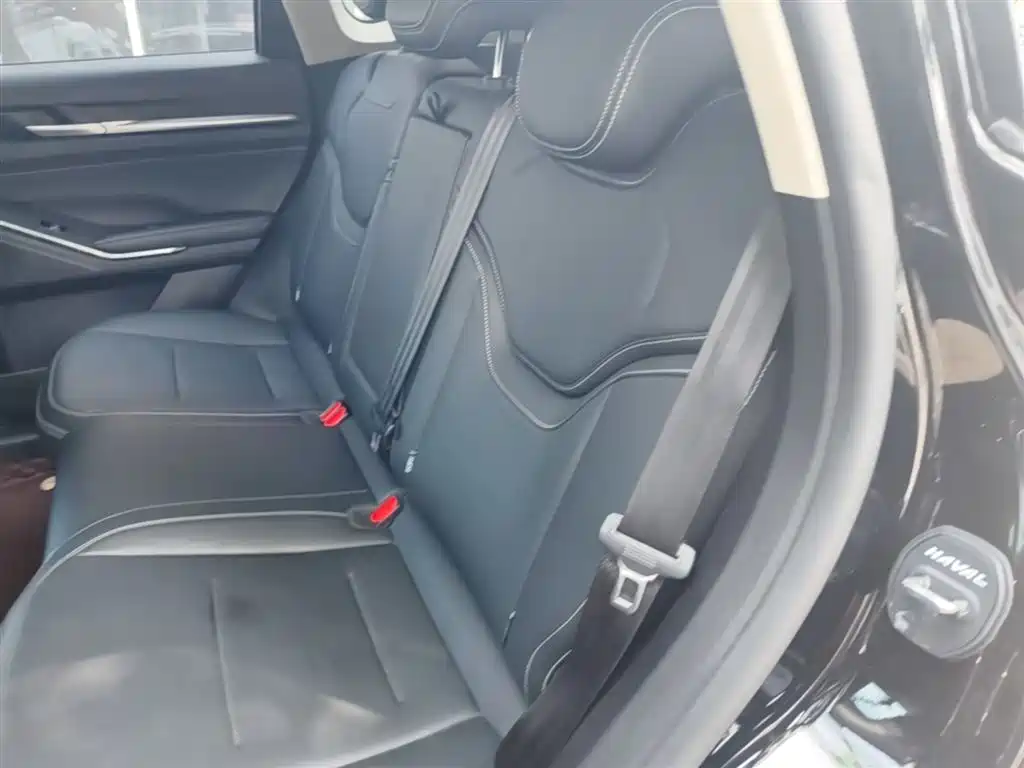 Haval H6 2022 3rd Gen 1.5T Auto 2WD Pro фото 17