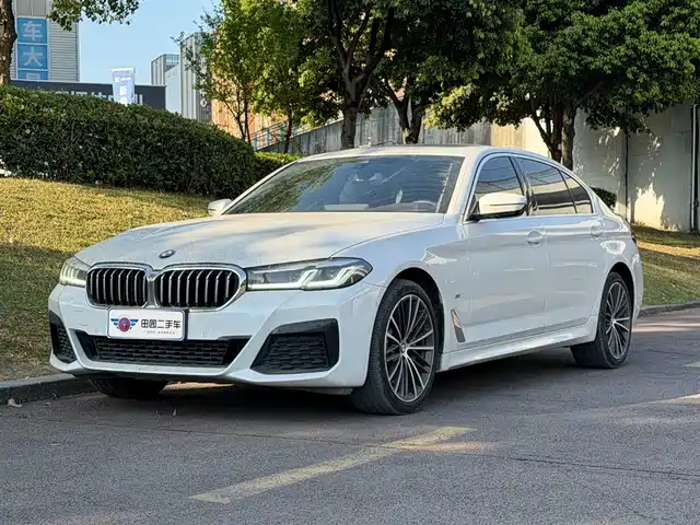 BMW 5 Series 2020 530Li Leading M Sport Package