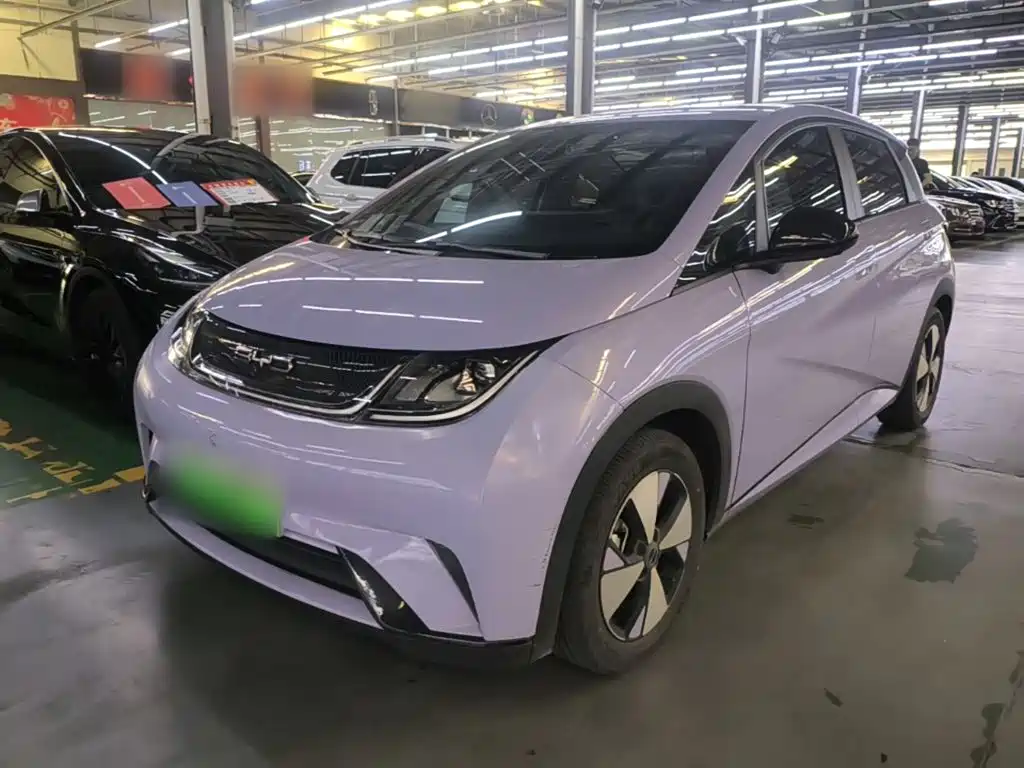 BYD Dolphin 2023 420km Freedom Edition