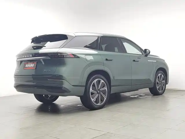 Chery Fengyun Fengyun T10 2024 210 Luxury Edition — фото 2