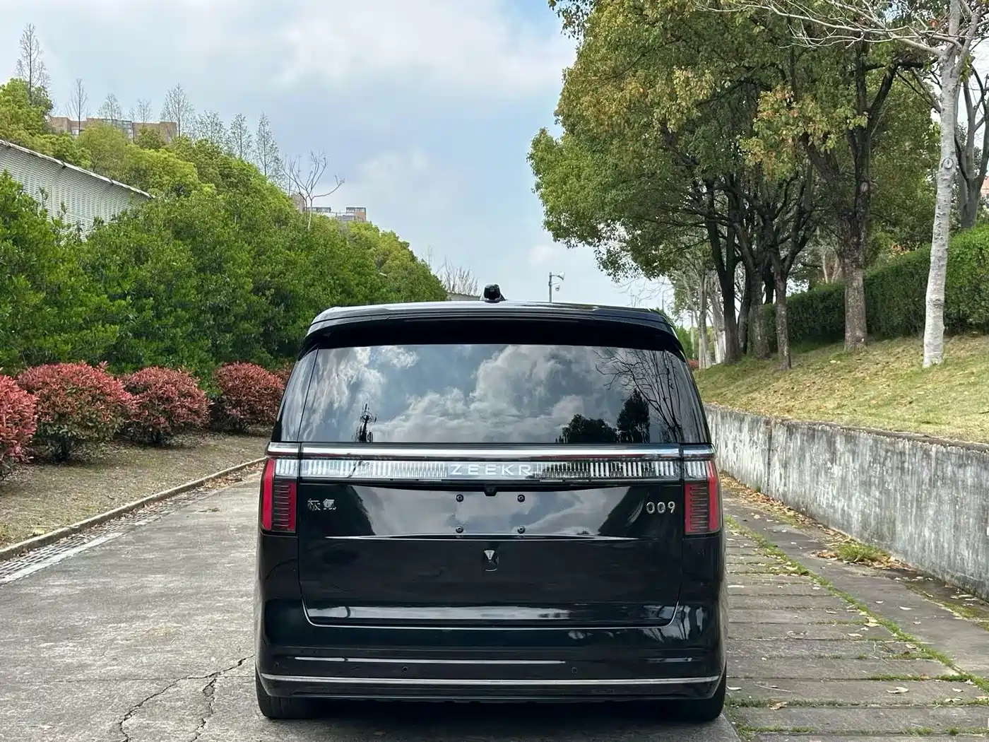 ZEEKR EXTREME KRYPTON 009