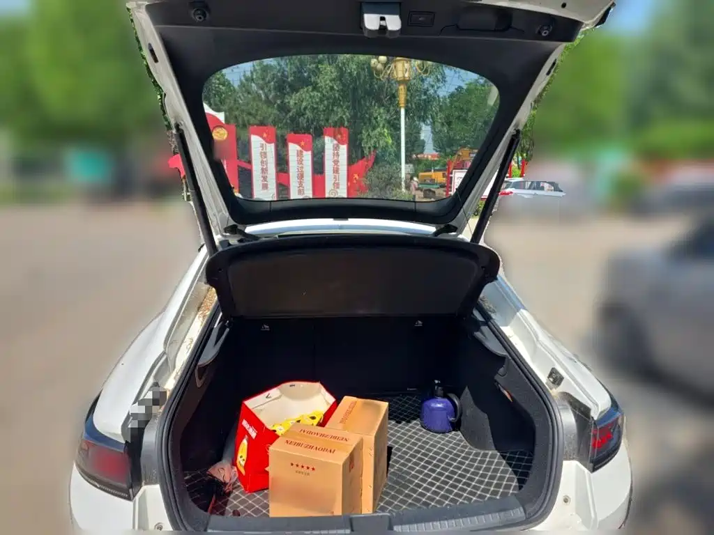 Volkswagen Lamando, миниатюра 10