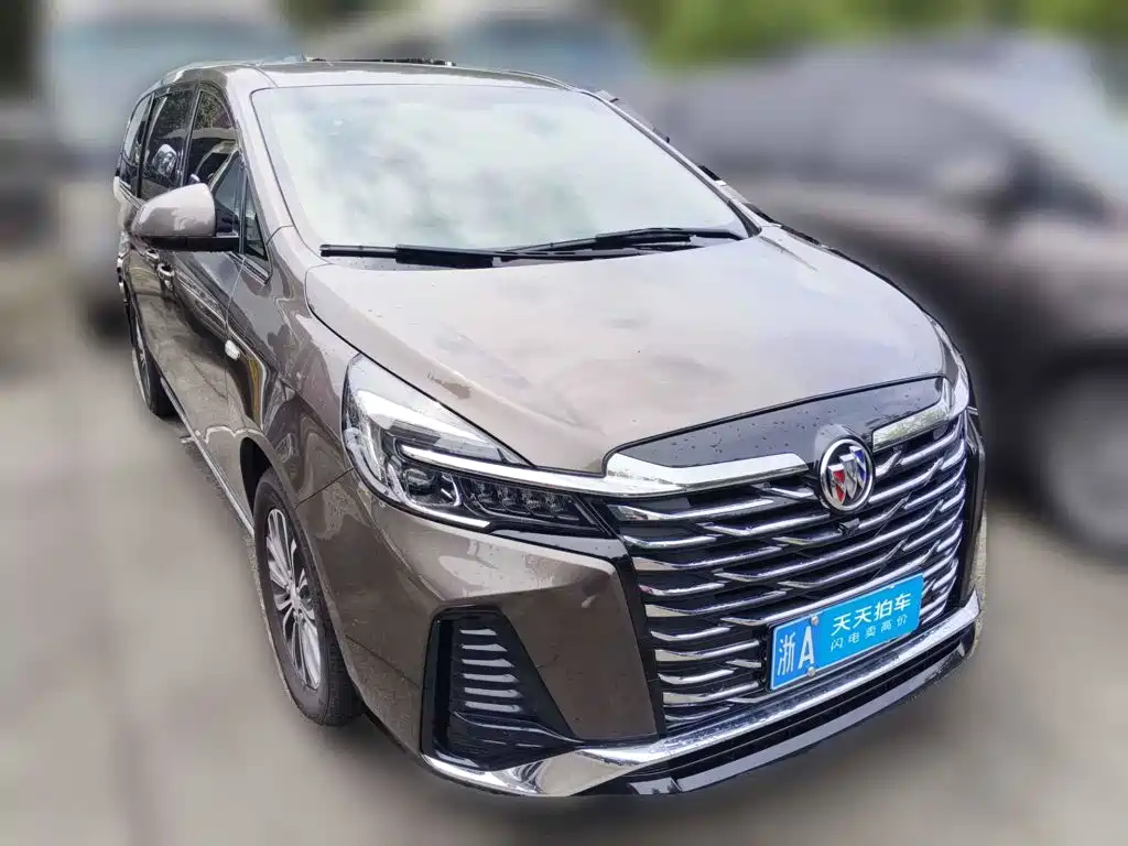 Buick GL8, миниатюра 3