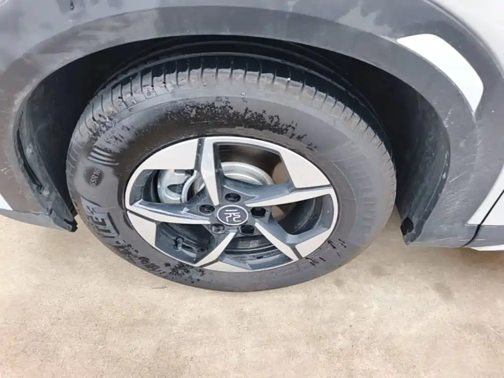 BYD Yuan UP 2024 2024 401KM Leading Edition