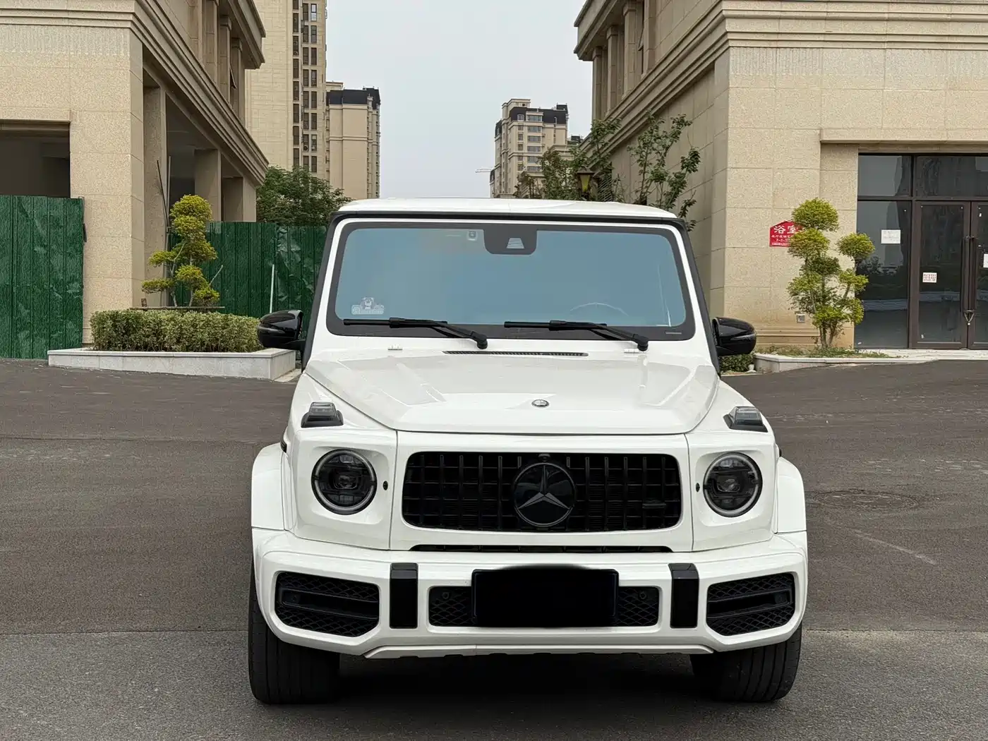 Mercedes-Benz G-Class 2020 G 350 фото 2
