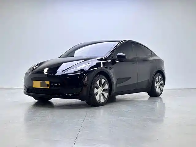Tesla Model Y 2022 Rear-Wheel Drive Version