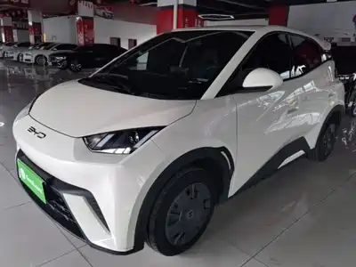 BYD Seagull