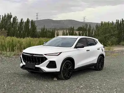 Changan Oshan X5