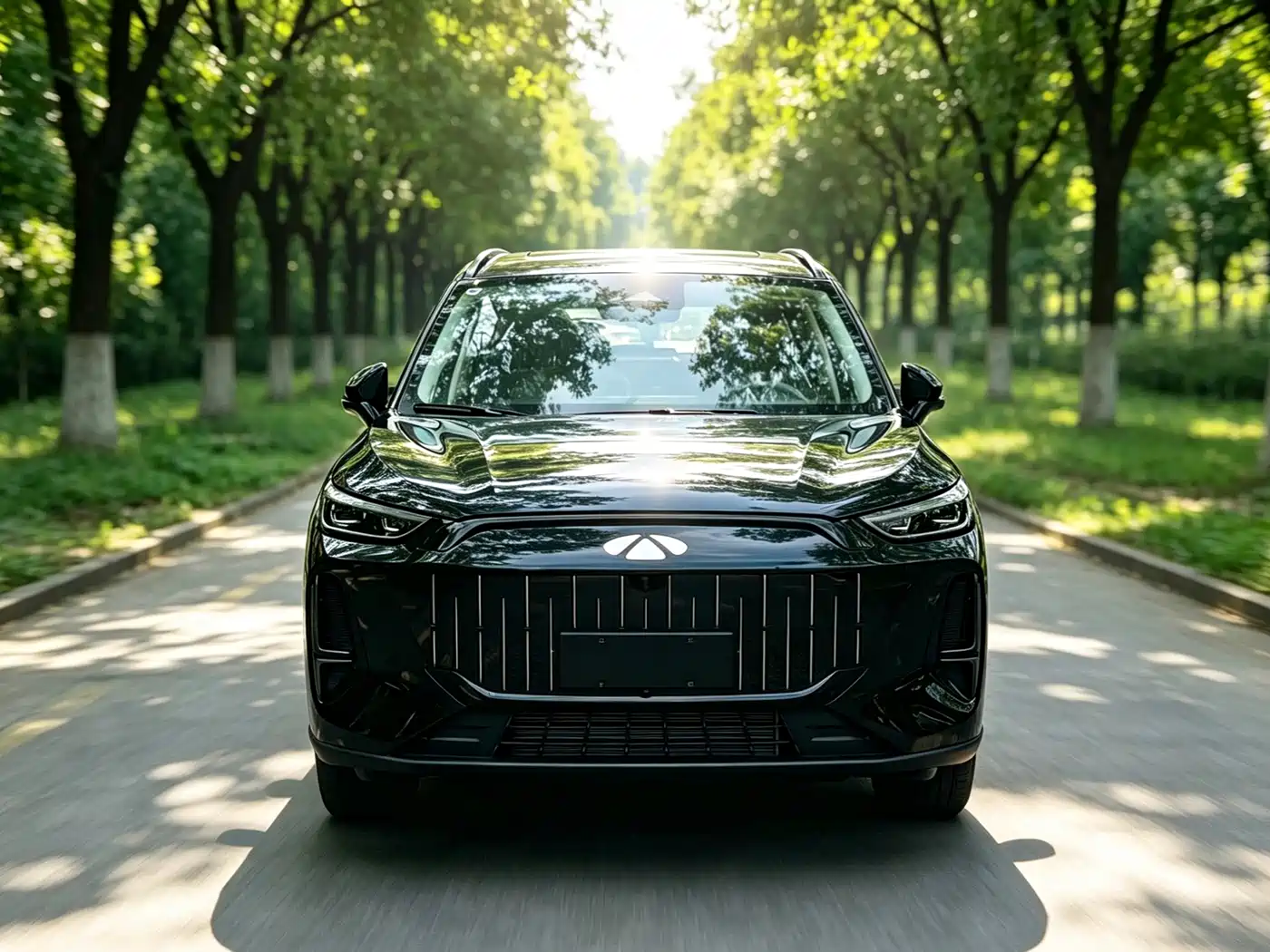 2026 Chery Fengyun Fengyun T9