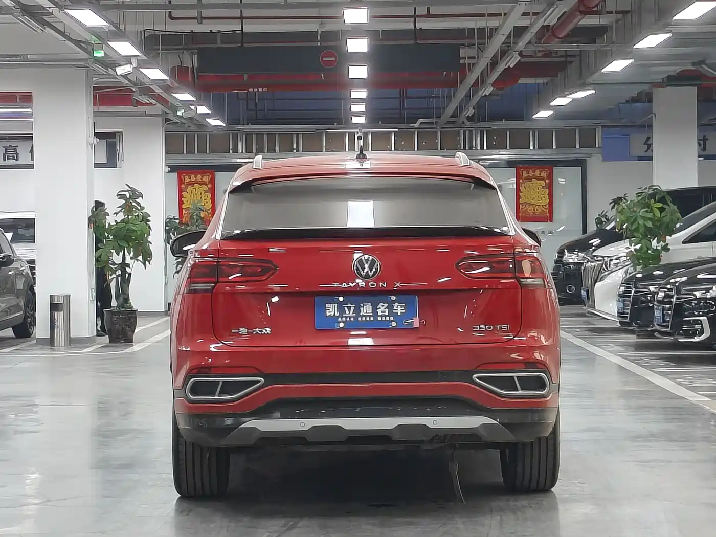 VOLKSWAGEN TANYUE X