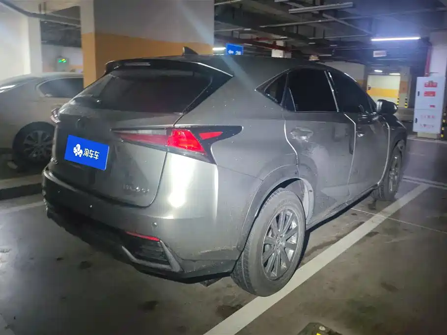 LEXUS NX