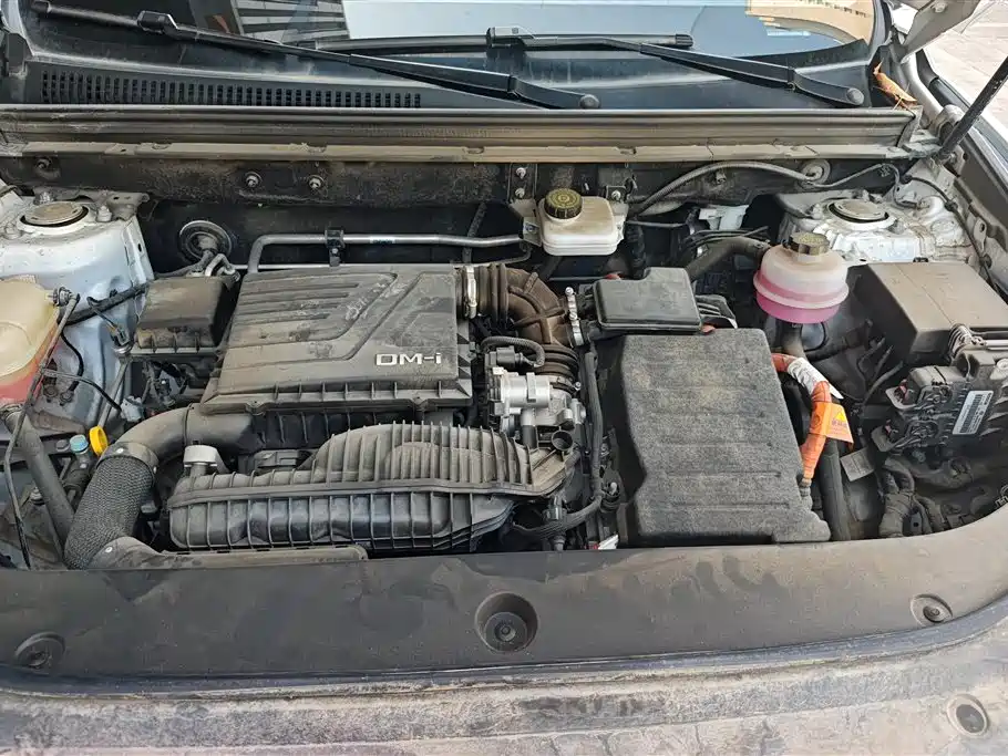 BYD SONGJIANG NEW ENERGY