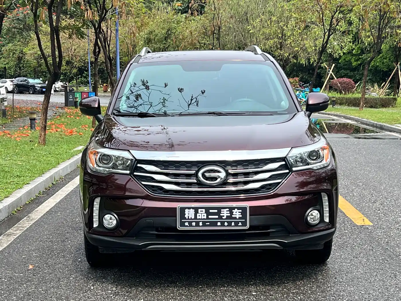 GAC Trumpchi Trumpchi GS4 2016 235T G-DCT Luxury Edition фото 2